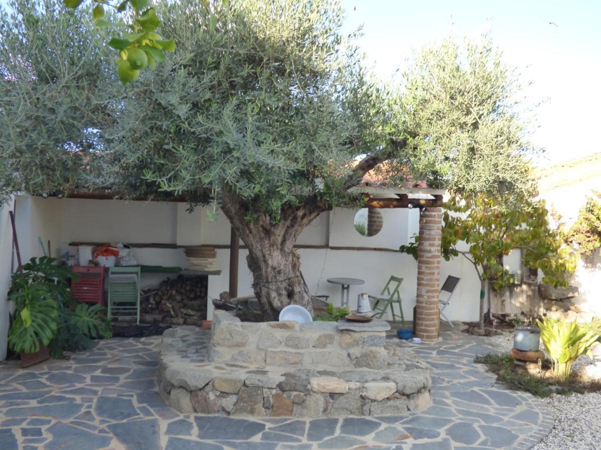 Bed and Breakfast Solar Da Cumeada Reguengos de Monsaraz Exterior foto